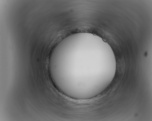 X0000091550038200708171049