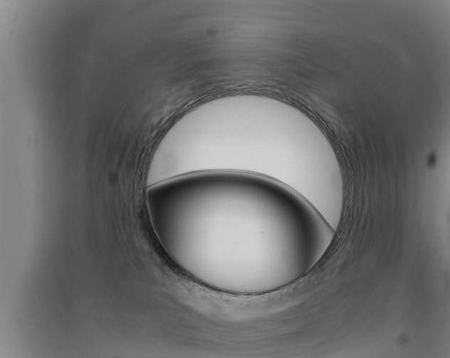 X0000091550039200708171049