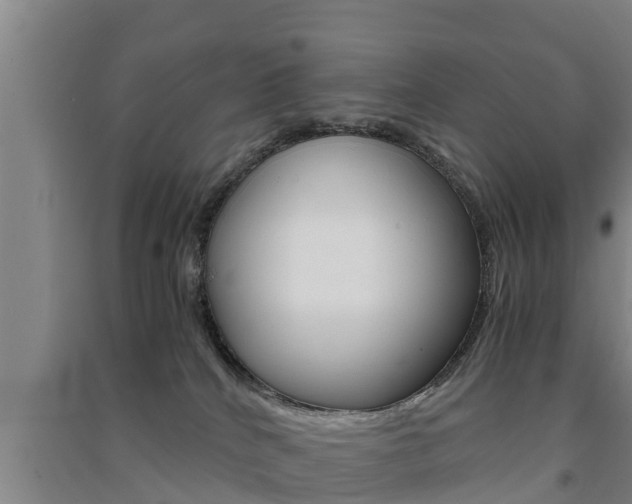 X0000091550040200708171049