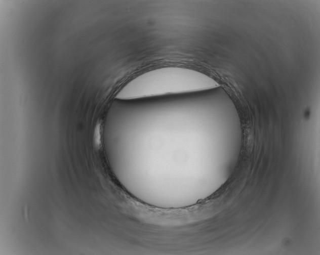 X0000091550042200708171049