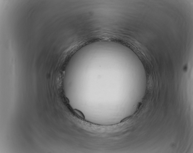 X0000091550043200708171049