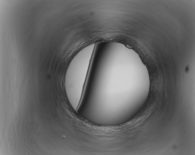 X0000091550044200708171049