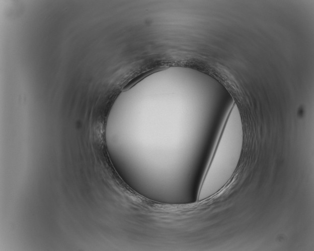 X0000091550045200708171049