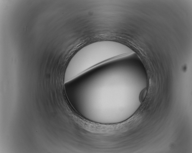 X0000091550048200708171049