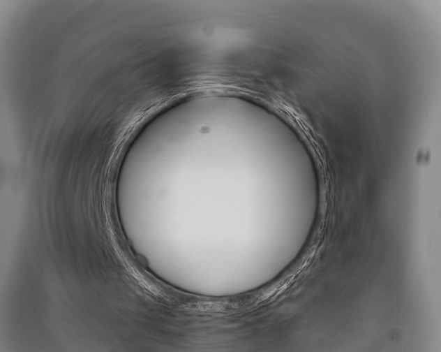 X0000091550049200708171049