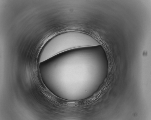 X0000091550050200708171049