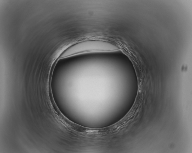X0000091550052200708171049