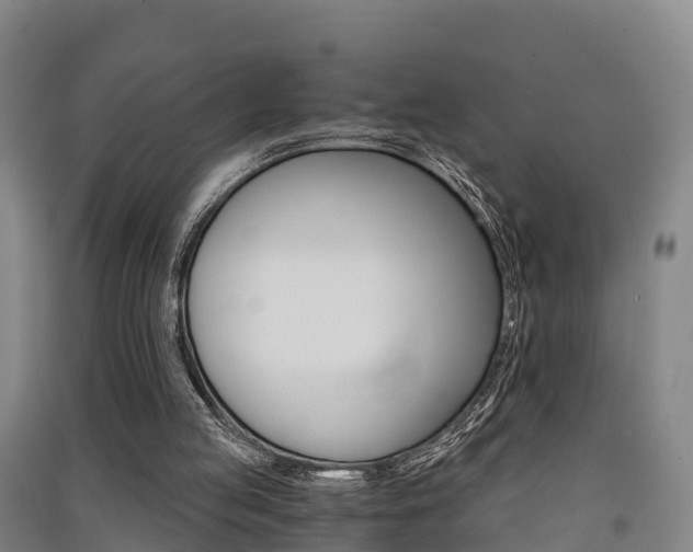 X0000091550053200708171049