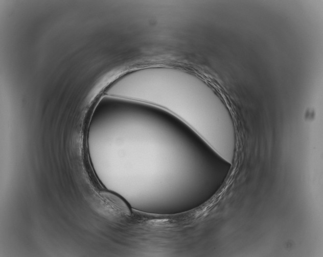 X0000091550054200708171049