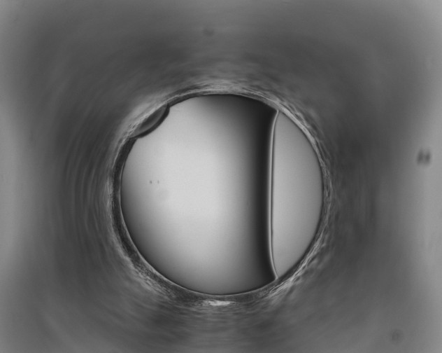 X0000091550055200708171049