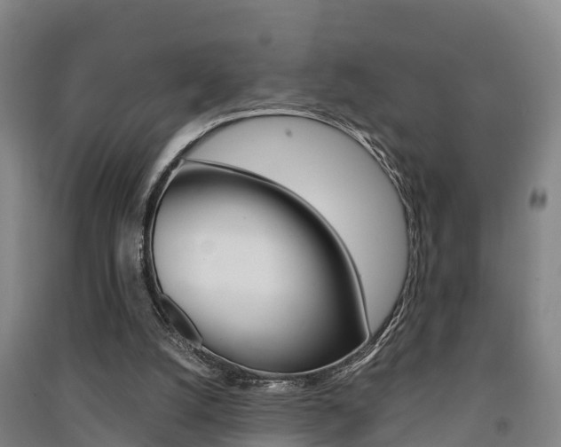 X0000091550056200708171049