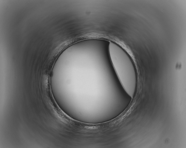 X0000091550057200708171049