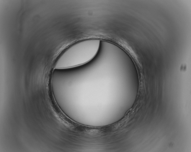 X0000091550058200708171049