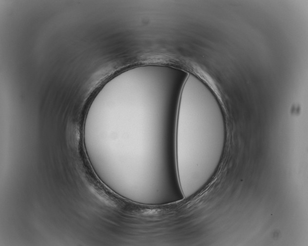 X0000091550059200708171049