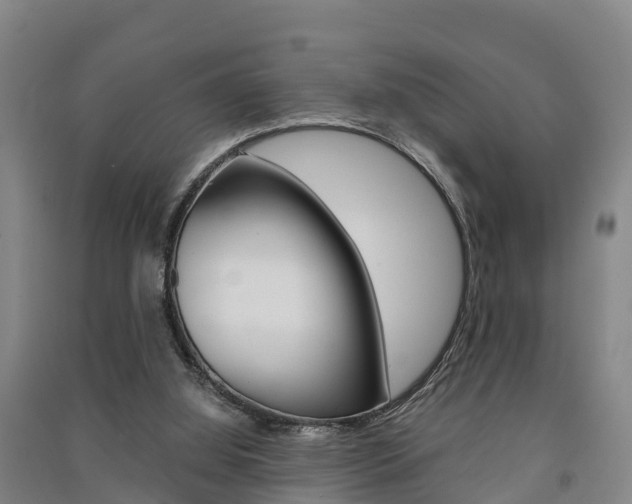 X0000091550060200708171049