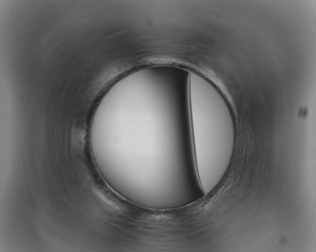 X0000091550063200708171049