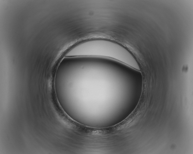 X0000091550064200708171049