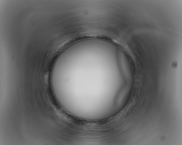 X0000091550066200708171049