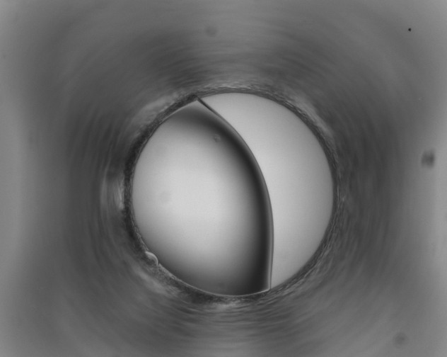 X0000091550068200708171049