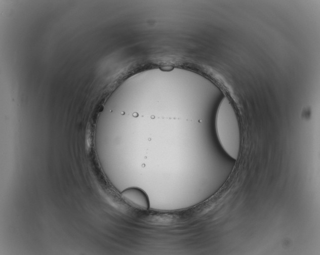 X0000091550069200708171049