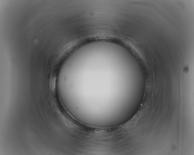 X0000091550070200708171049