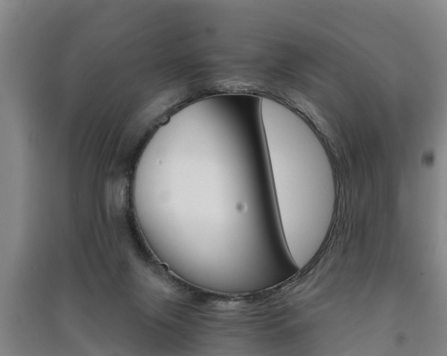 X0000091550071200708171049