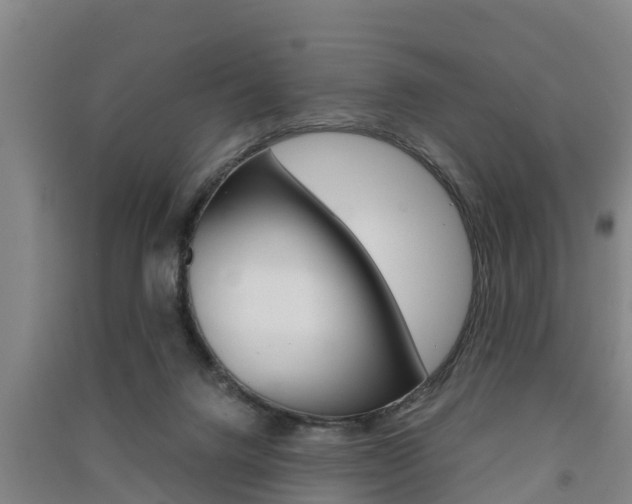 X0000091550072200708171049