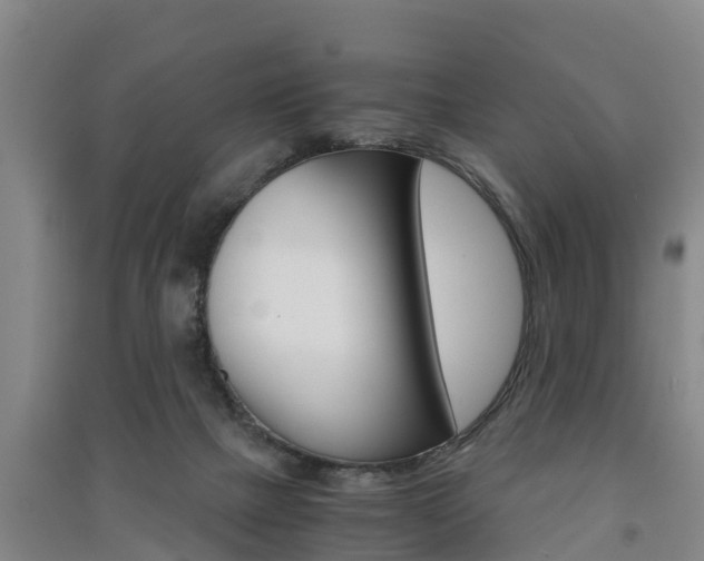 X0000091550073200708171049