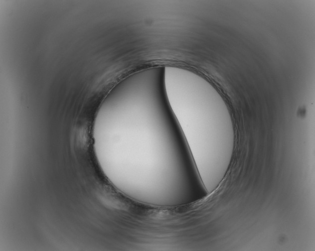 X0000091550074200708171049