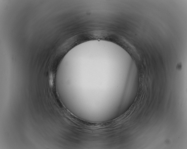 X0000091550075200708171049