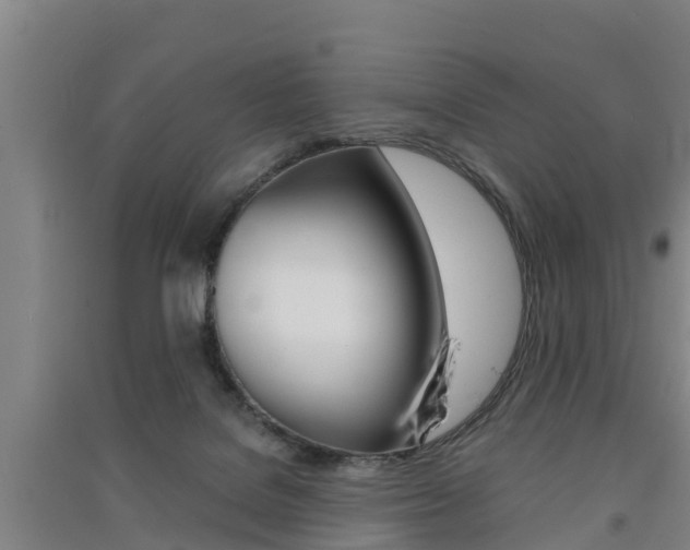 X0000091550076200708171049