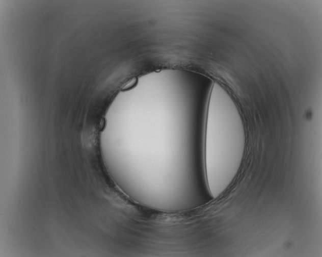 X0000091550077200708171049