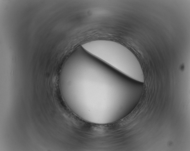 X0000091550079200708171049