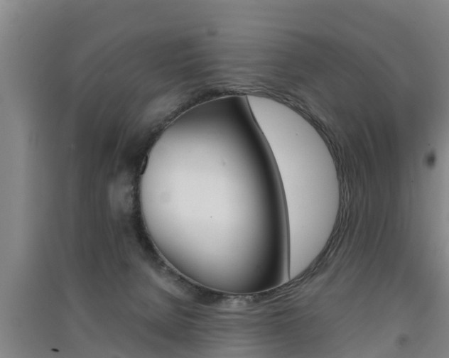 X0000091550080200708171049