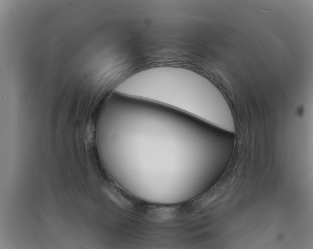 X0000091550081200708171049
