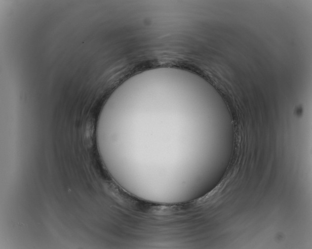X0000091550082200708171049
