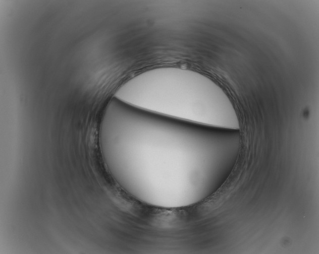 X0000091550083200708171049