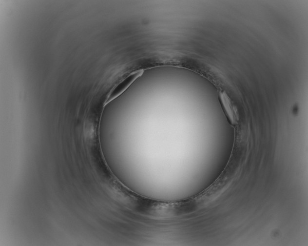 X0000091550084200708171049