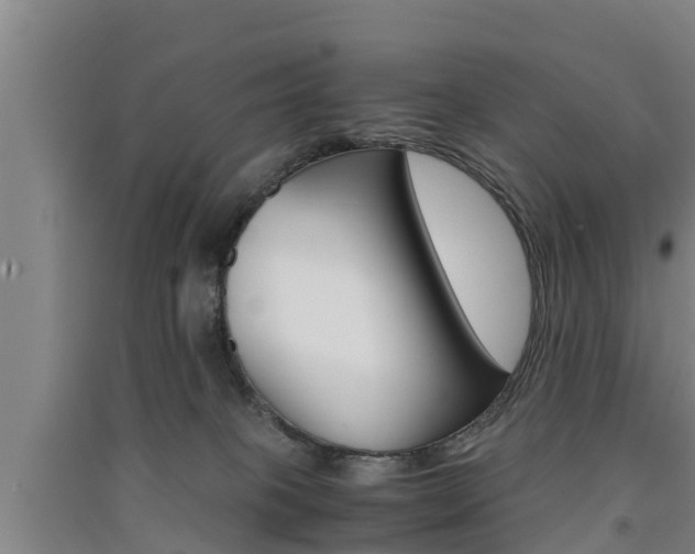 X0000091550085200708171049