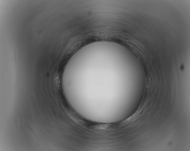 X0000091550086200708171049