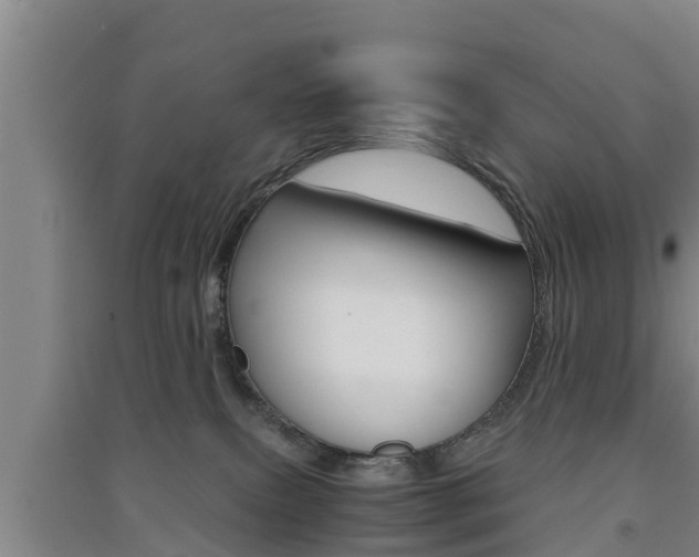 X0000091550087200708171049