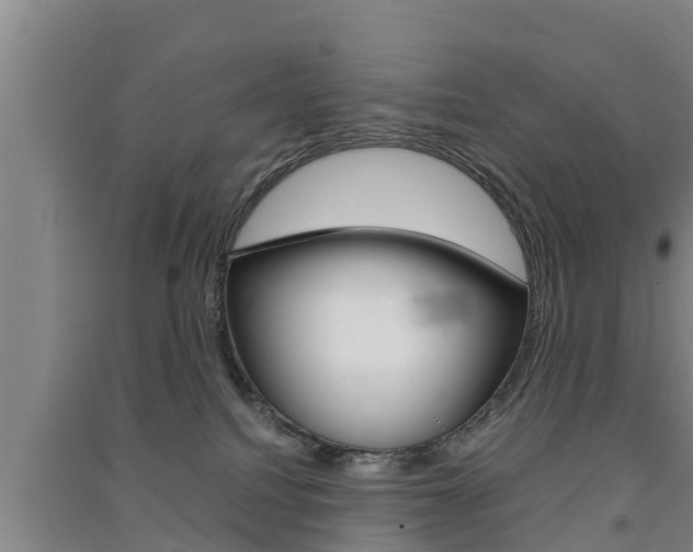 X0000091550088200708171049