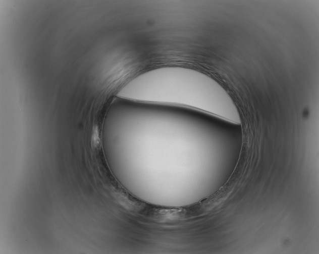 X0000091550089200708171049