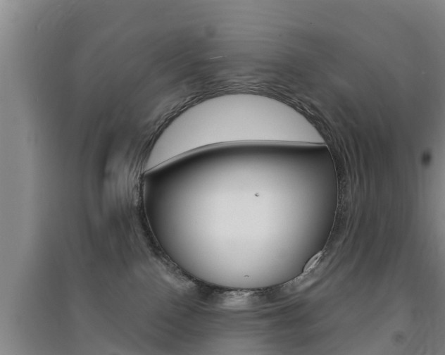 X0000091550090200708171049