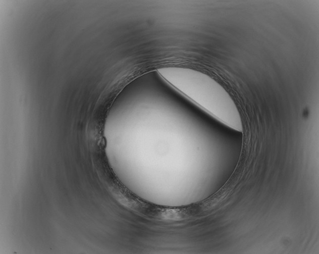 X0000091550091200708171049