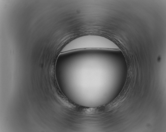 X0000091550092200708171049