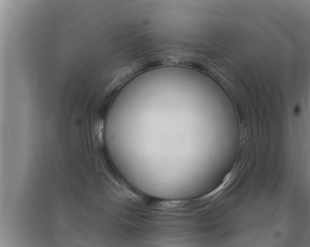 X0000091550094200708171049
