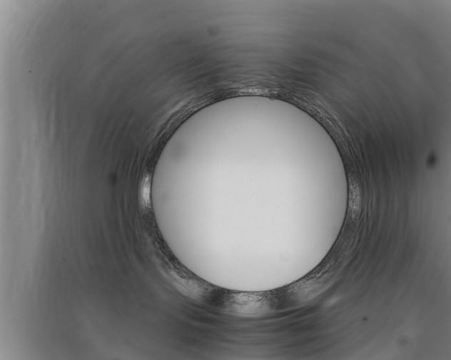 X0000091550095200708171049