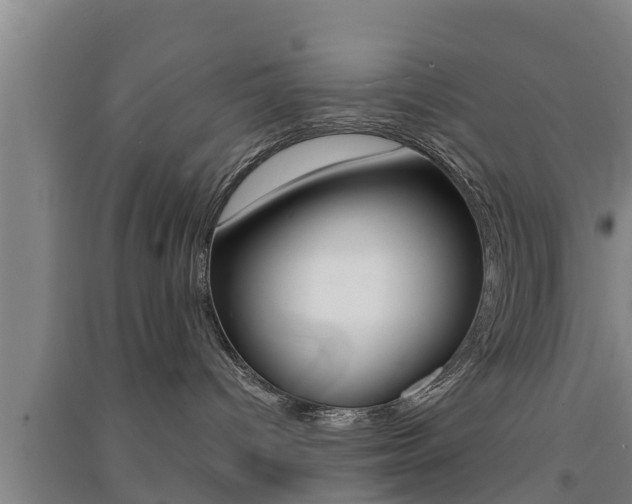 X0000091550096200708171049