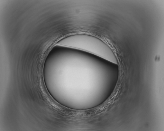 X0000091550097200708171049